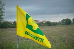 bandiera coldiretti