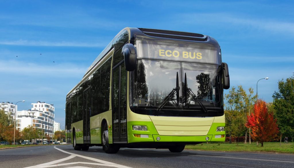Bus