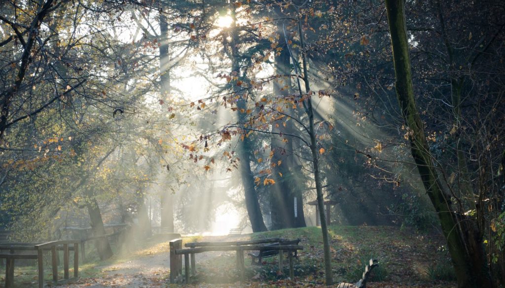 Giardini Raggio di Sole