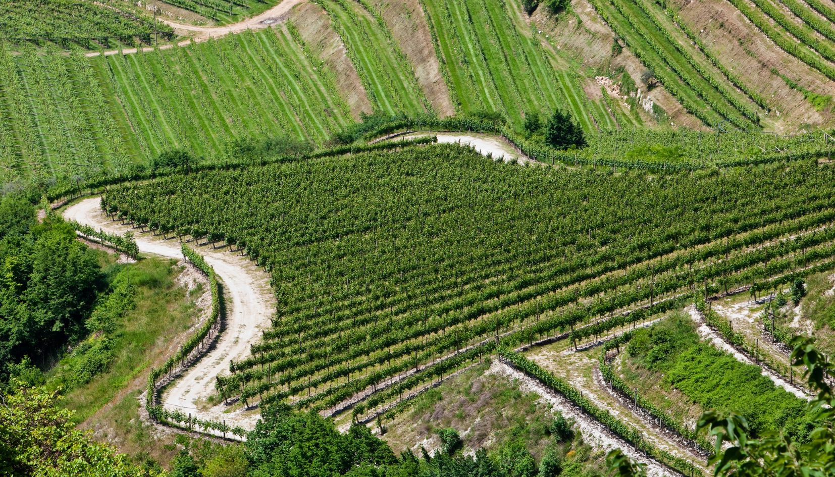 valpolicella