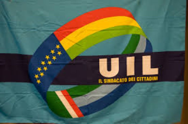 Uil