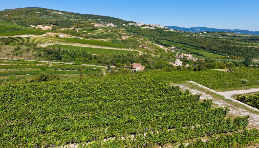 Valpolicella