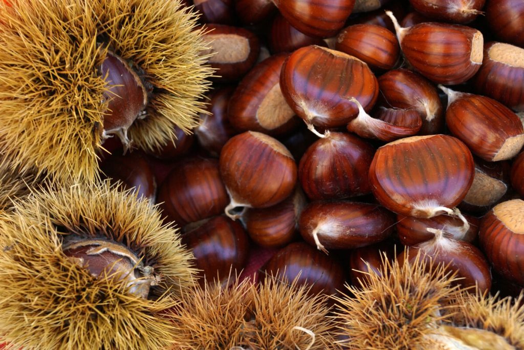 castagne
