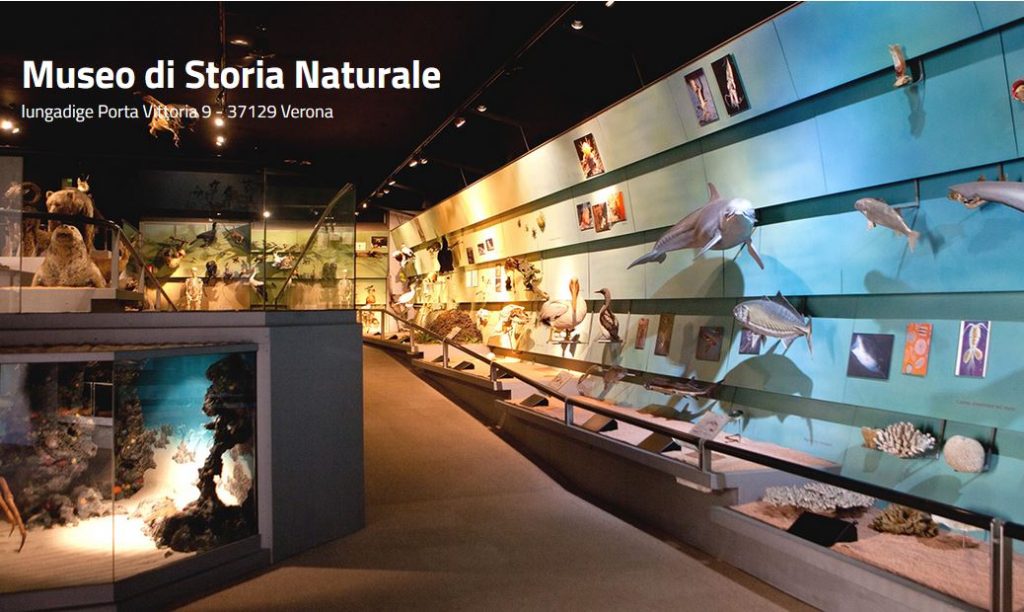 Museo di Storia Naturale di Verona