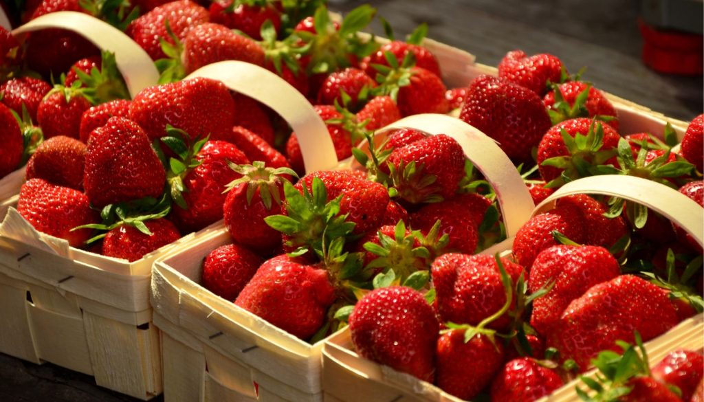 fragole