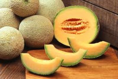 Meloni