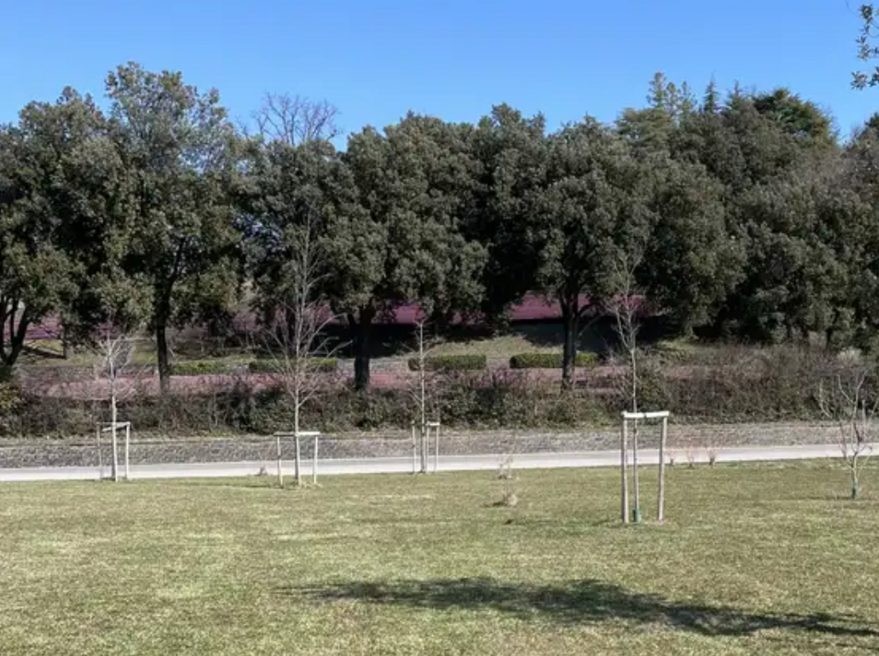 Parco dell'Amicizia