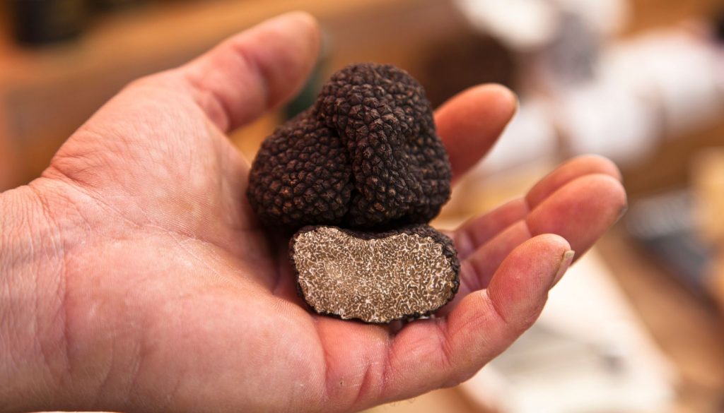 tartufo