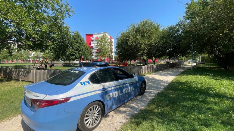 macchina della polizia al parco
