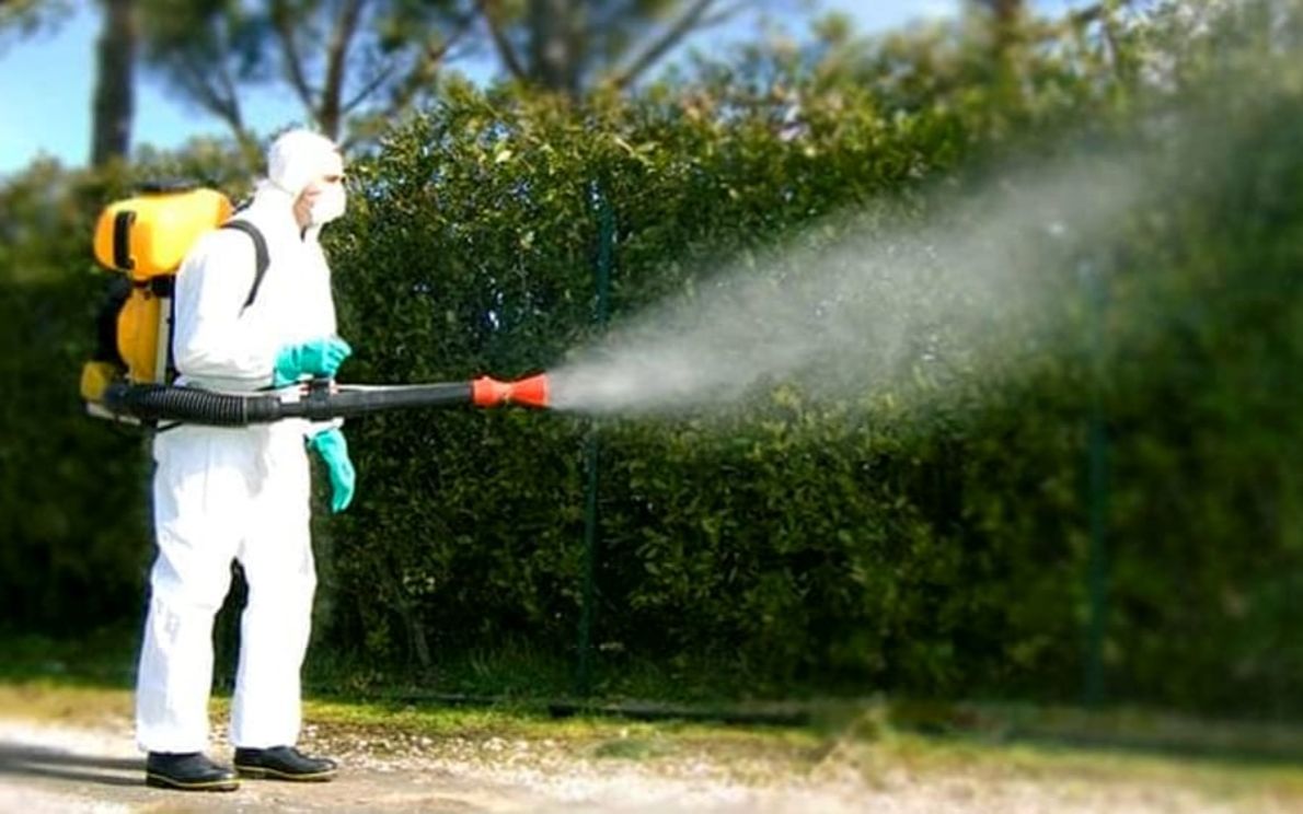 Disinfestazione chikungunya