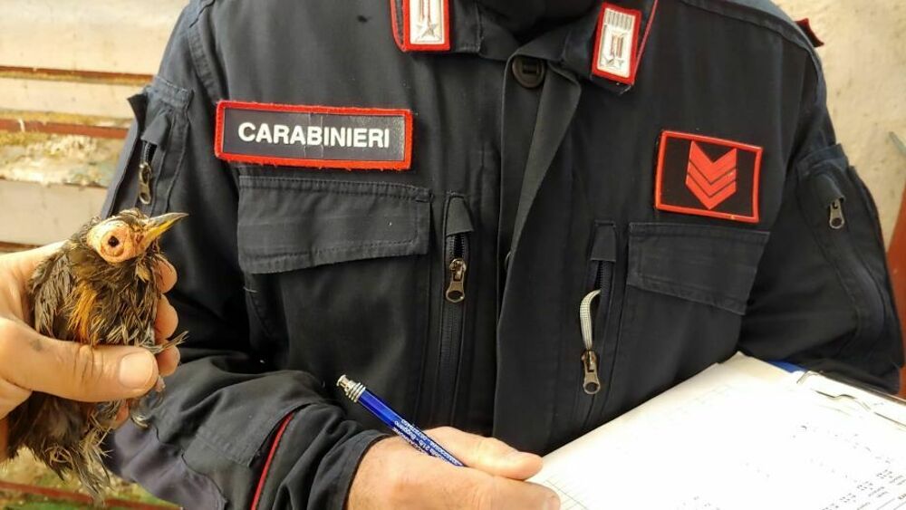 Carabiniere forestale