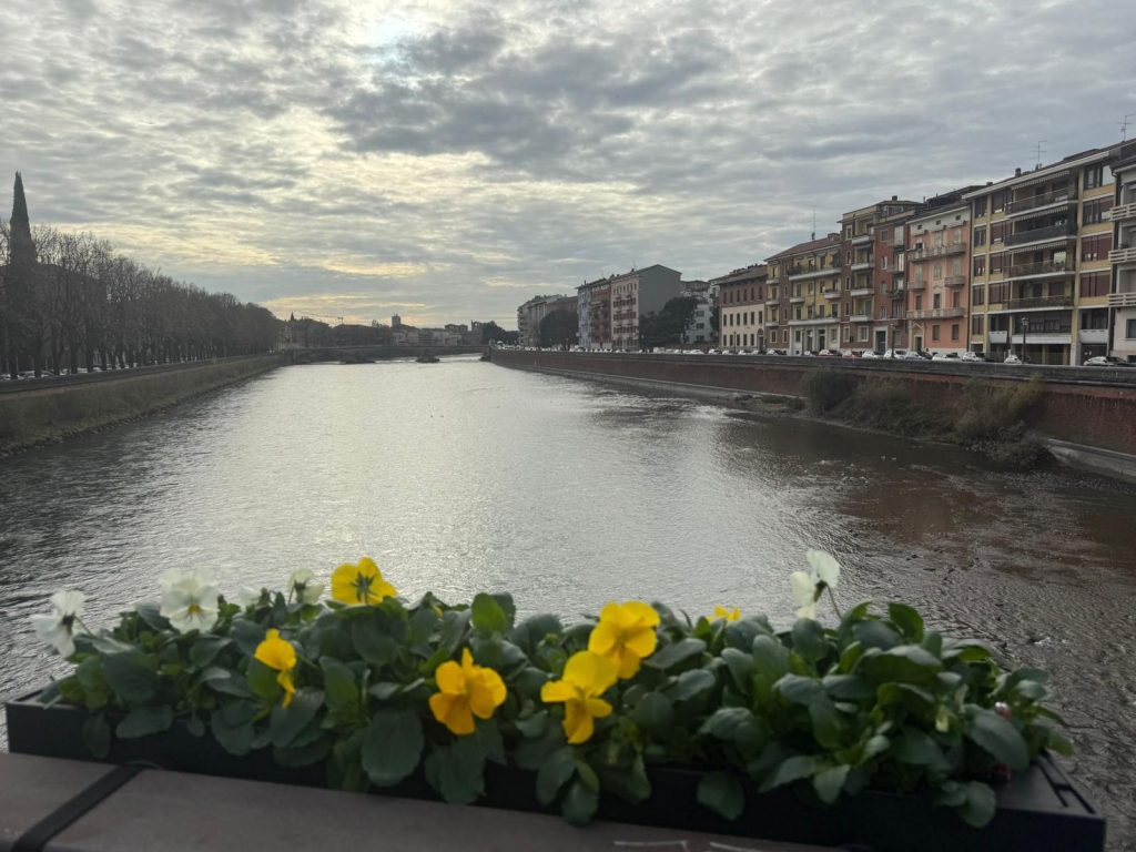 Fioriere su Ponte Garibaldi