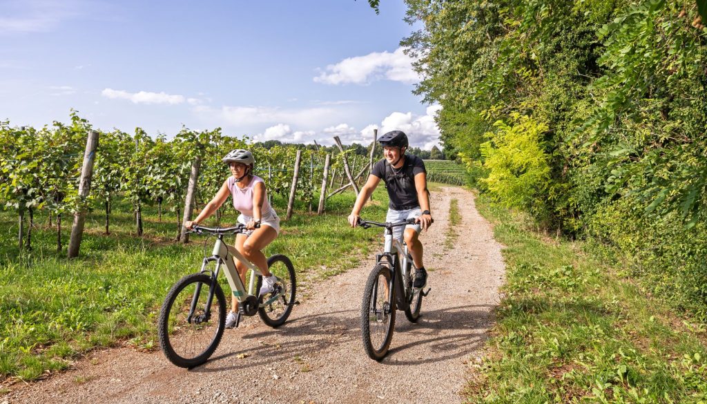 e-bike in vigna