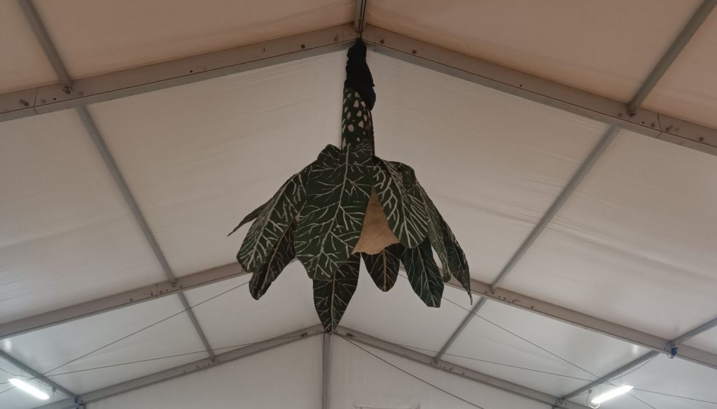 sagra del broccolo Novaglie