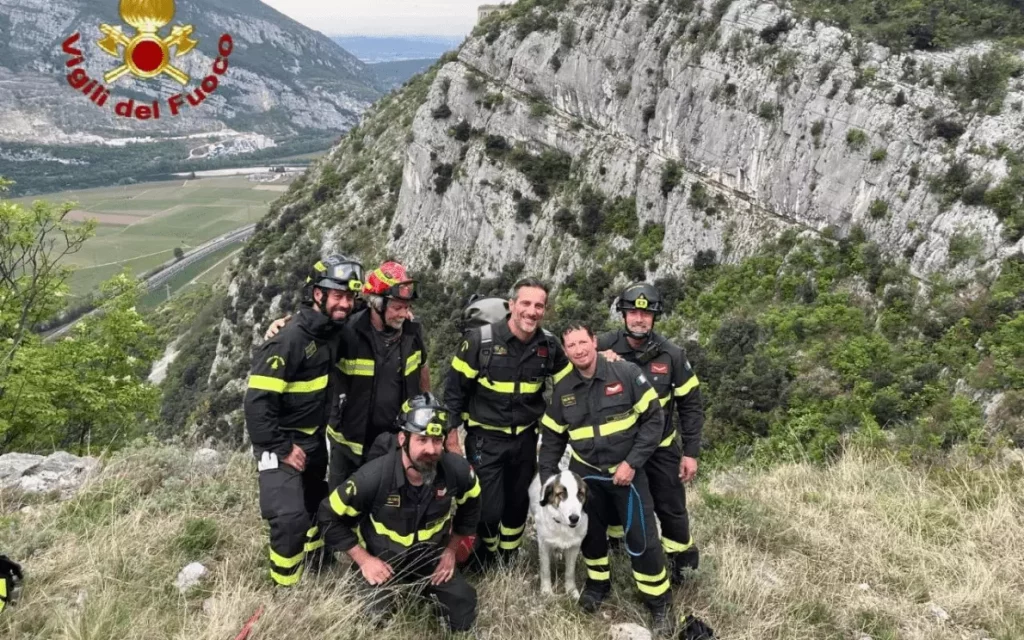 cane salvato a Caprino