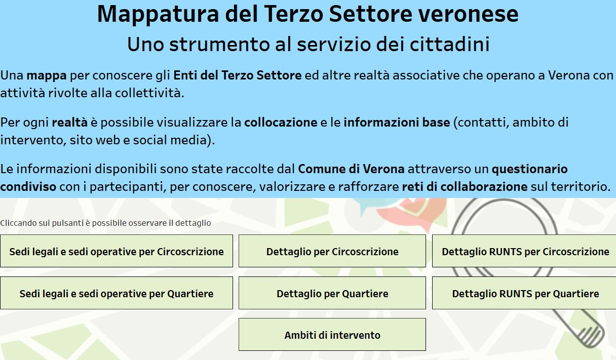 Mappatura Terzo Settore veronese