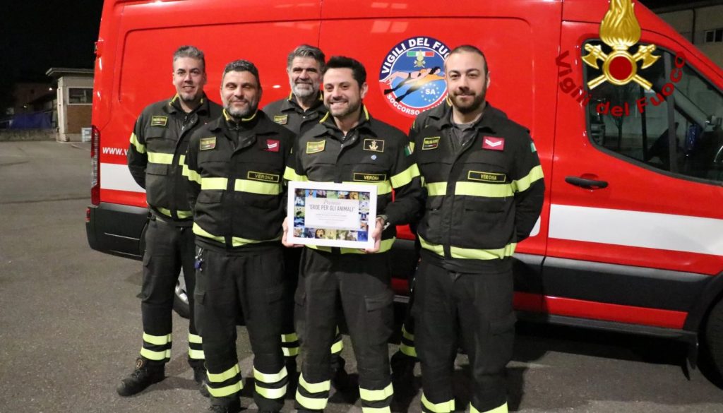 vigili del fuoco
