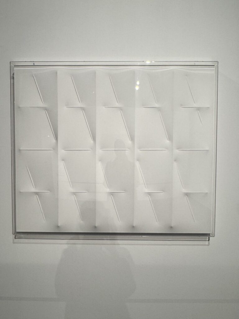 Bianco e nero - Elogio del limite