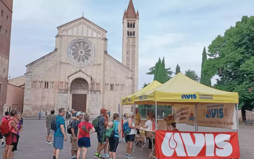 Avis a San Zeno