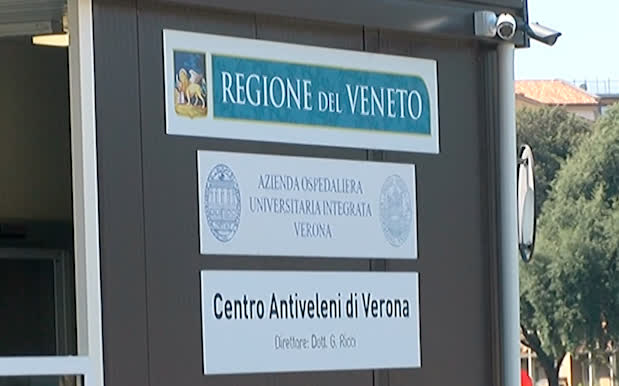 centro anti veleni Verona