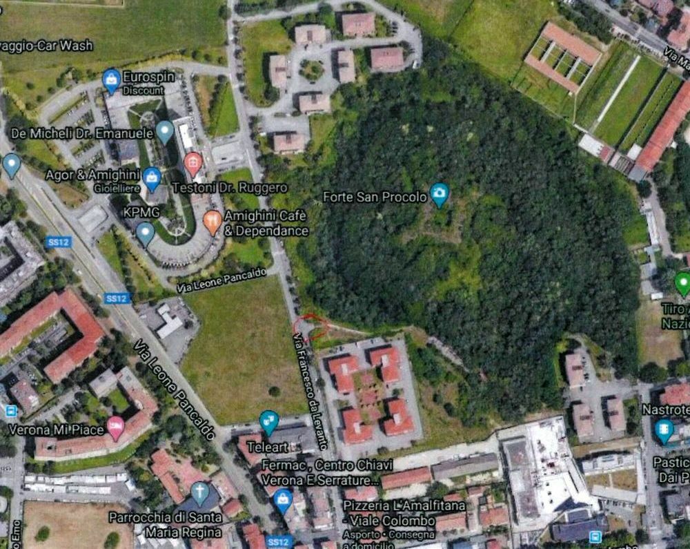 Forte Procolo