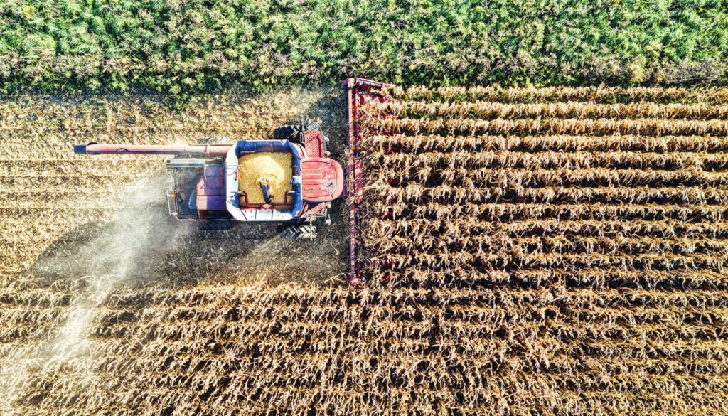 agricoltura