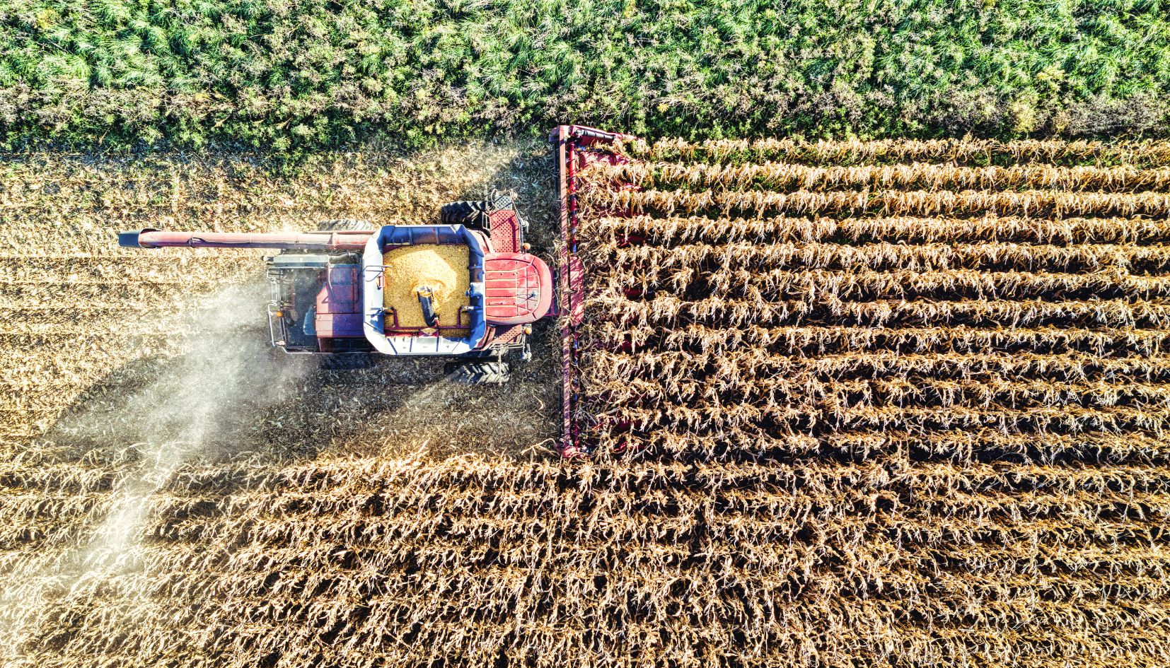 agricoltura
