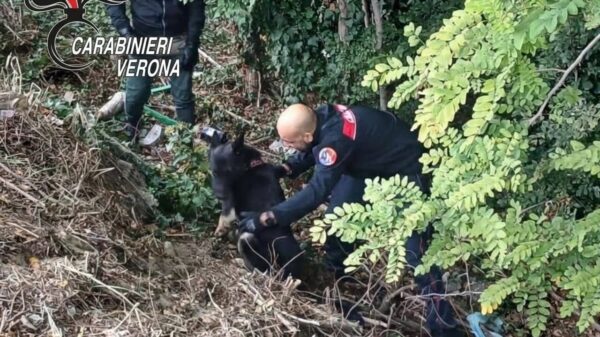 Controlli contro lo spaccio a Legnago _ foto carabinieri di Verona 2