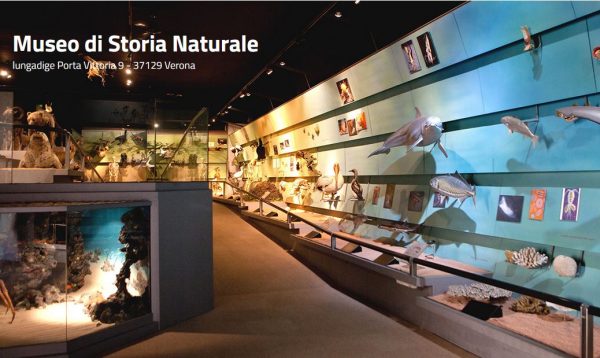 Museo di Storia Naturale di Verona